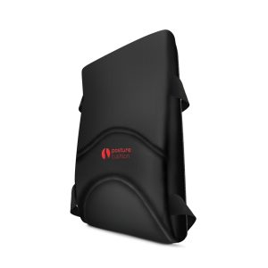 Full Back Support Cushion